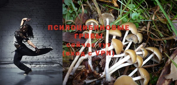 синтетический гашиш Алексеевка