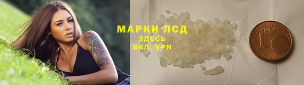 ГАЛЛЮЦИНОГЕННЫЕ ГРИБЫ Алексин