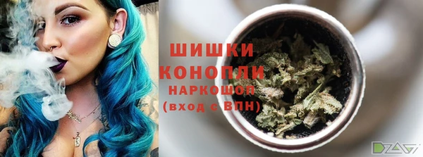 ГАЛЛЮЦИНОГЕННЫЕ ГРИБЫ Алексин
